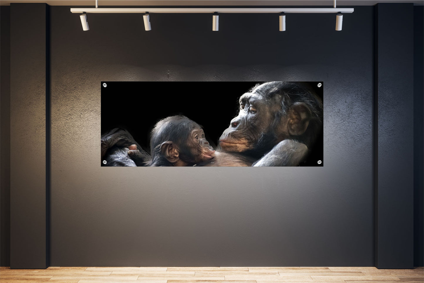 TIER WANDBILDER POSTER DEKO BILDER XXL 160x60 AFFEN SCHIMPANSEN