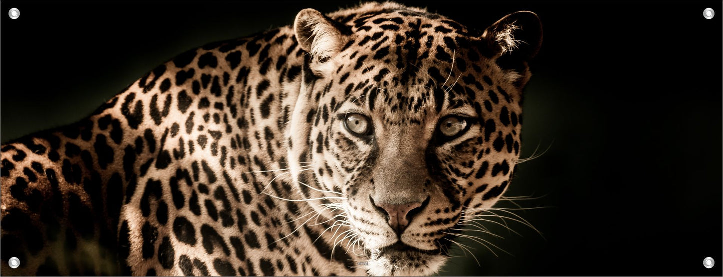 TIER WANDBILDER POSTER DEKO BILDER GROSS INNEN AUSSEN LEOPARD RAUBTIER