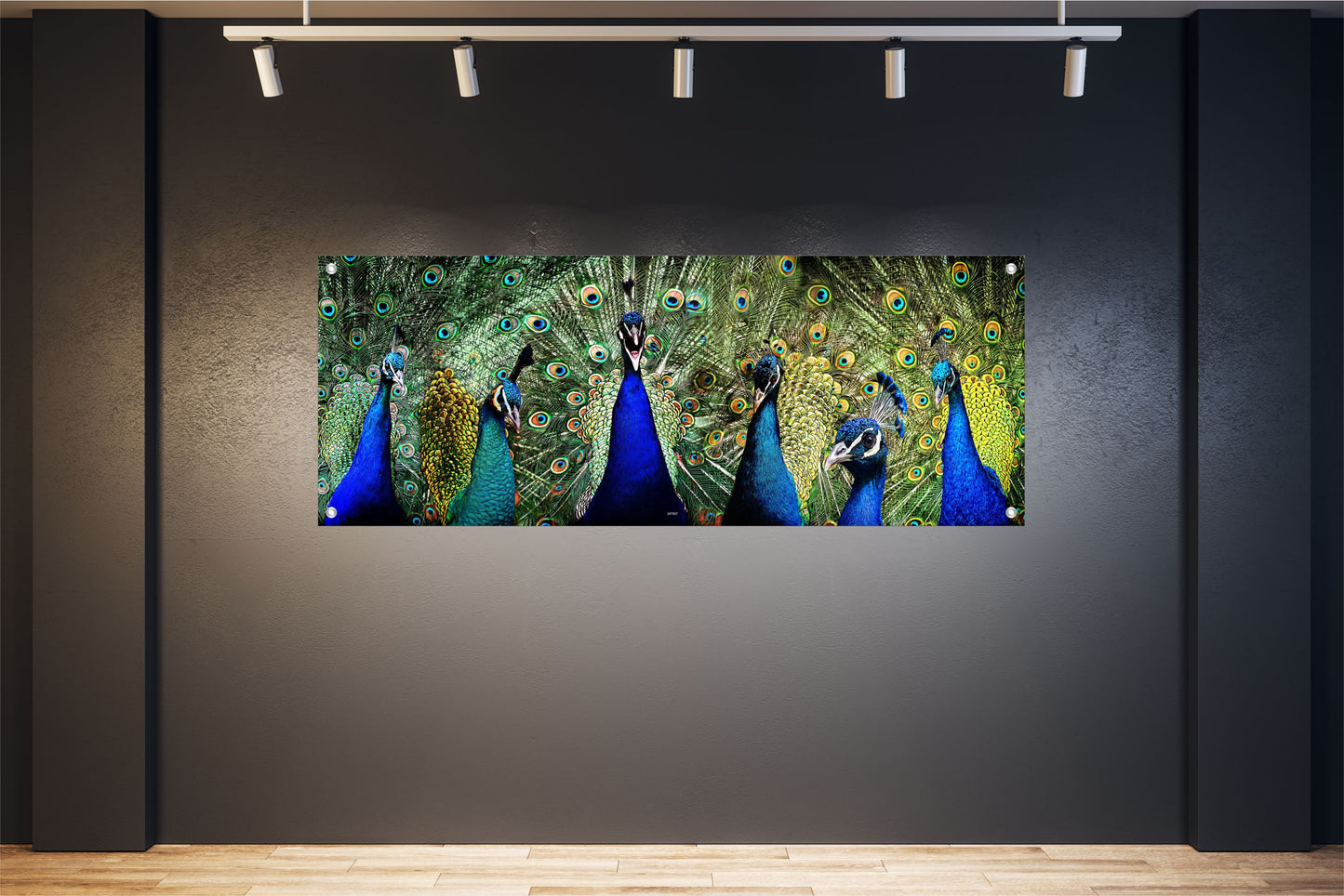 TIER WANDBILDER POSTER DEKO BILDER XXL 160x60 PFAU VOGEL PFAUENFEDER