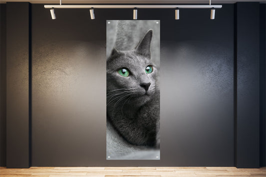 TIER WANDBILDER POSTER DEKO BILDER XXL 60x160 KATZE GRÜNE AUGEN