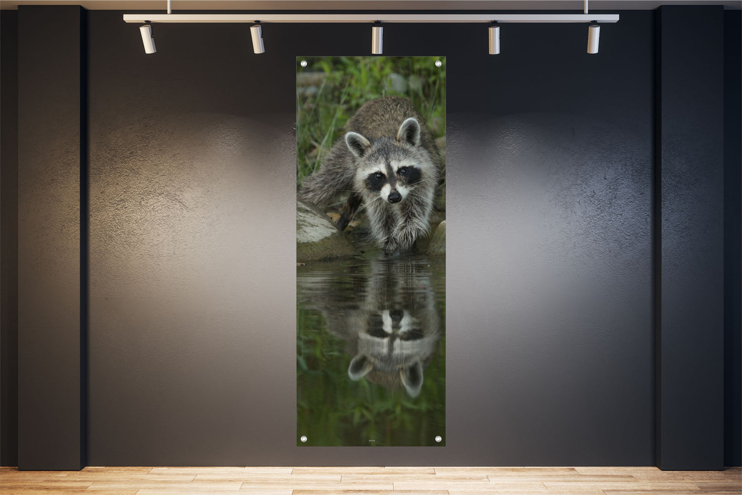 TIER WANDBILDER POSTER DEKO BILDER XXL 60x160 WASCHBÄR NATUR