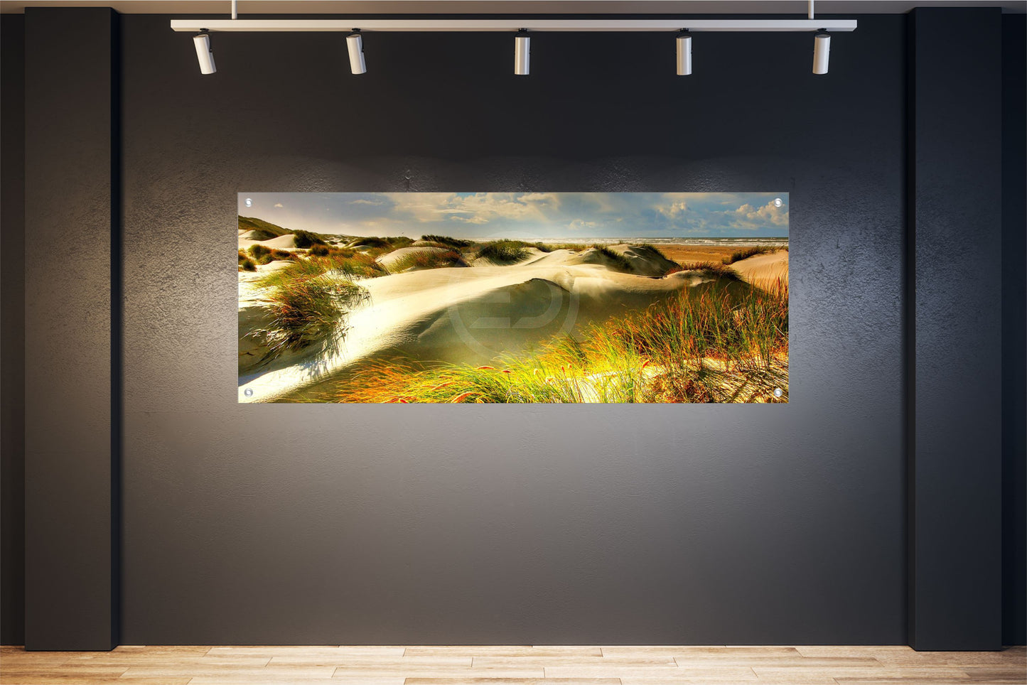 MEER WANDBILD POSTER DEKO BILDER XXL 160x60 NATUR DÜNEN GRÄSER STRAND
