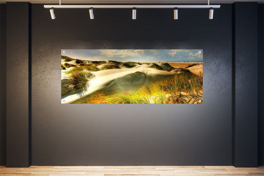 MEER WANDBILD POSTER DEKO BILDER XXL 160x60 NATUR DÜNEN GRÄSER STRAND