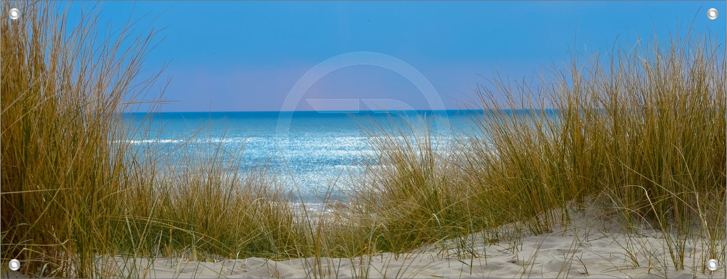 MEER WANDBILD POSTER DEKO BILDER XXL 160x60 STRAND NATUR GRÄSER