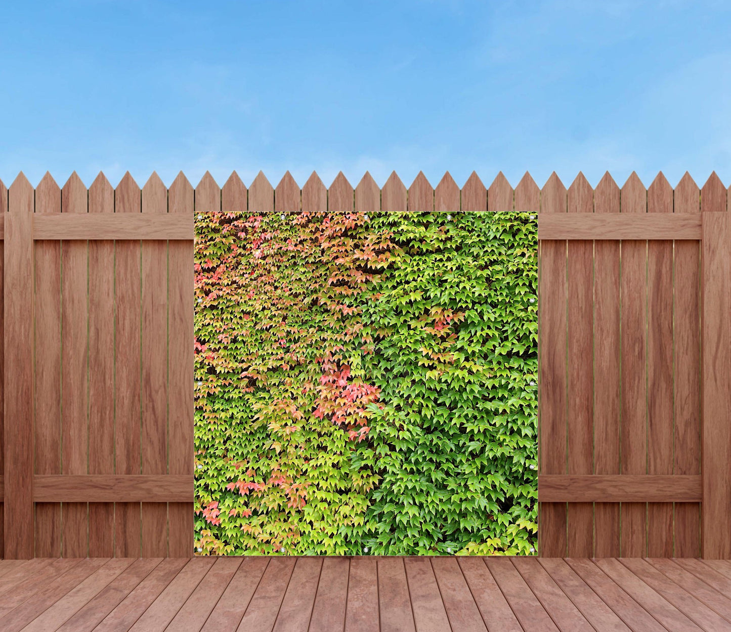Outdoor Bild Banner Außen Gartenposter Wetterfest 180x180 Efeu Natur Garten