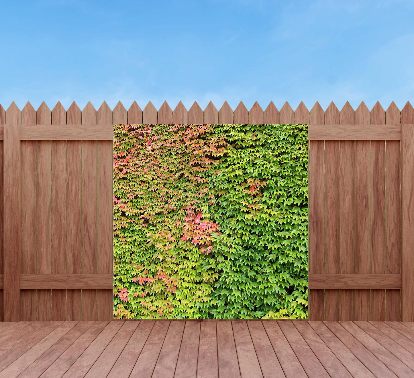 Outdoor Bild Banner Außen Gartenposter Wetterfest 180x180 Efeu Natur Garten