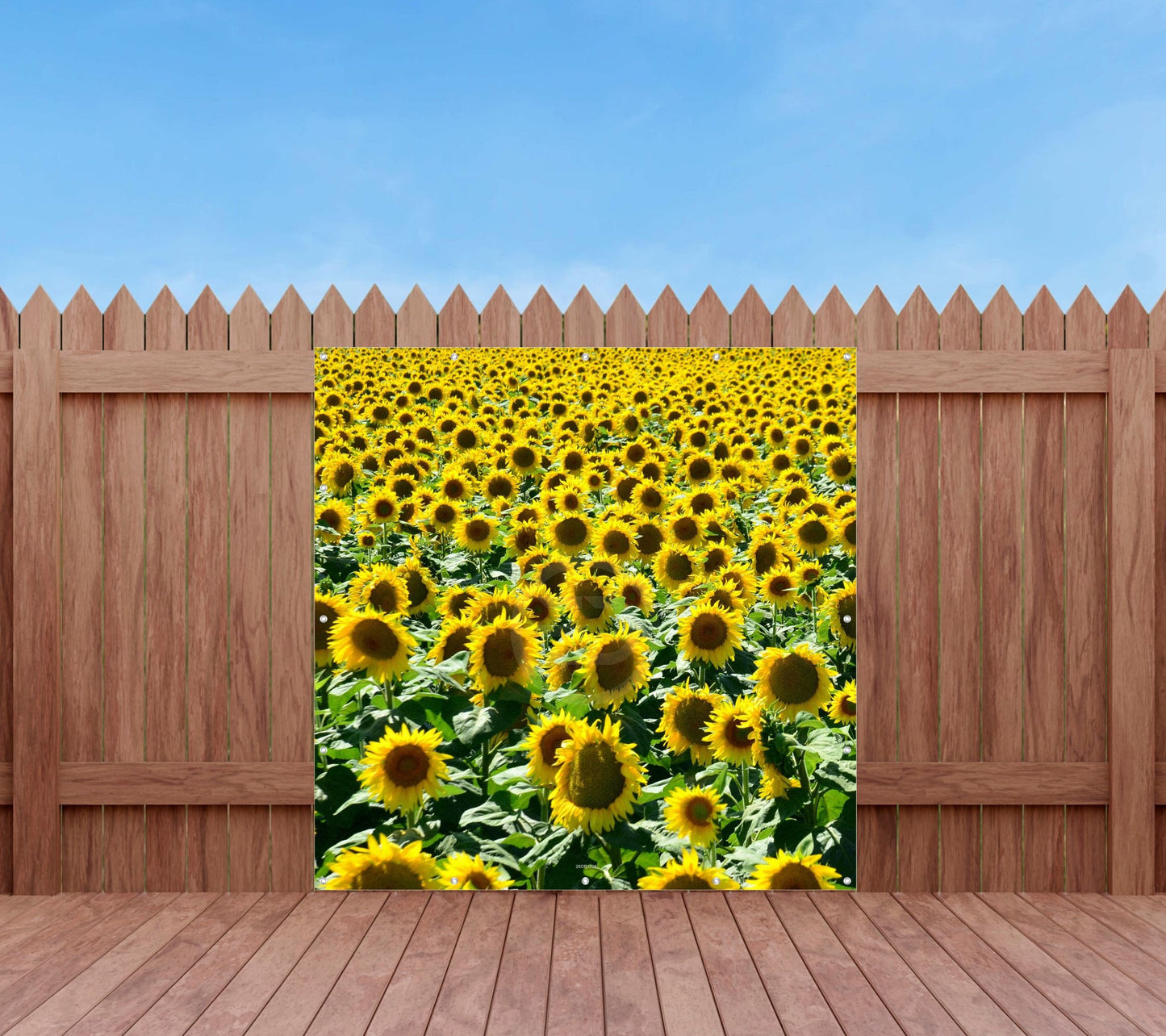 Outdoor Bild Banner Außen Gartenposter Wetterfest 180x180 Sonnenblumen Natur