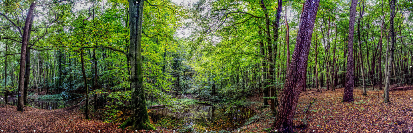 Outdoor Bild Banner Außen Gartenposter wetterfest 560x180 Landschaft Wald Natur