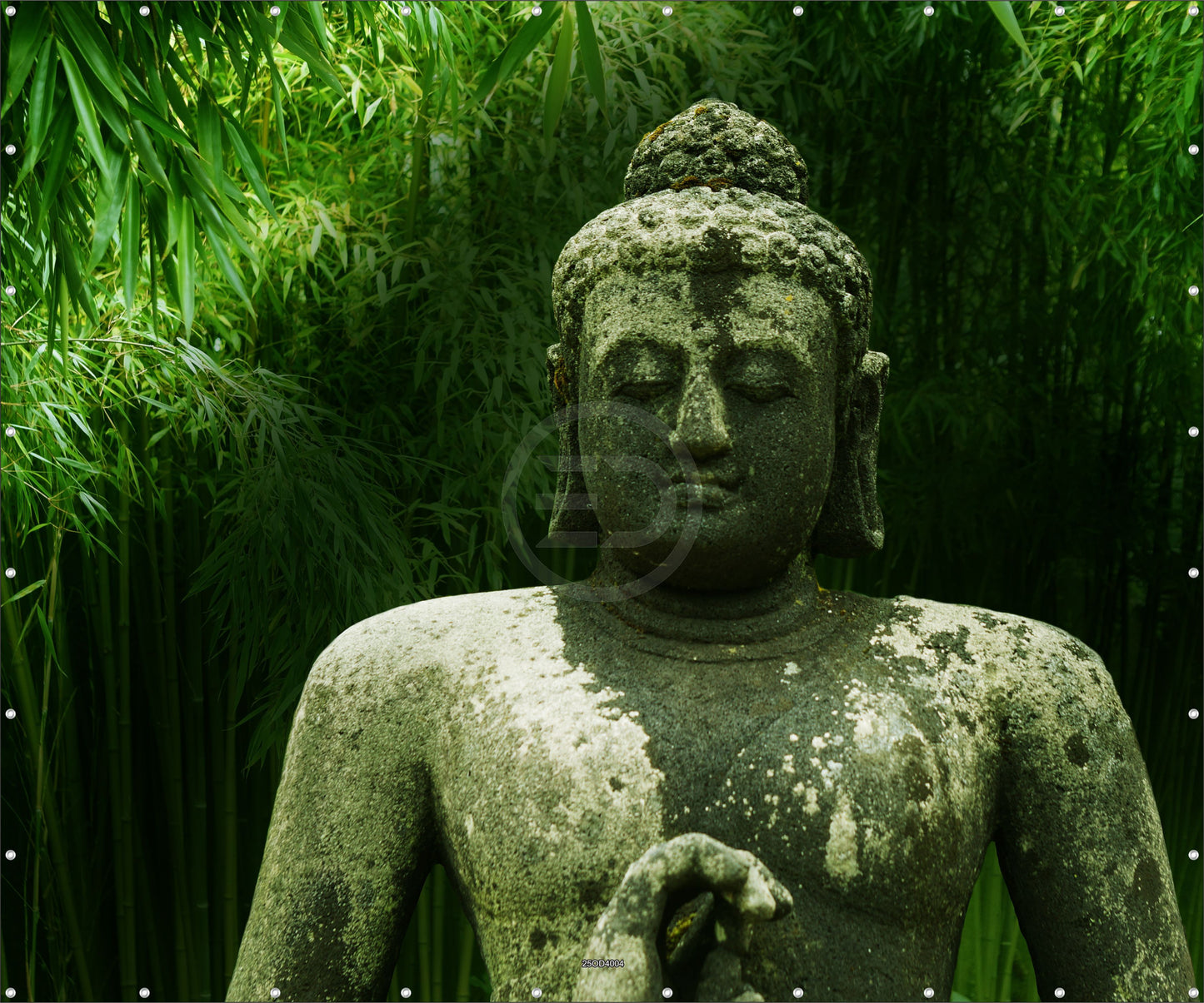 Outdoor Bild Banner Außen Gartenposter wetterfest 300x250cm Natur Buddha Wald