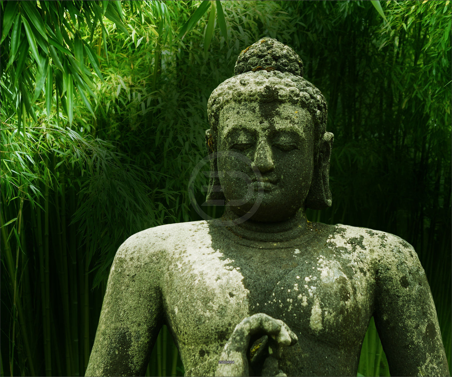 Outdoor Bild Banner Außen Gartenposter wetterfest 300x250cm Natur Buddha Wald