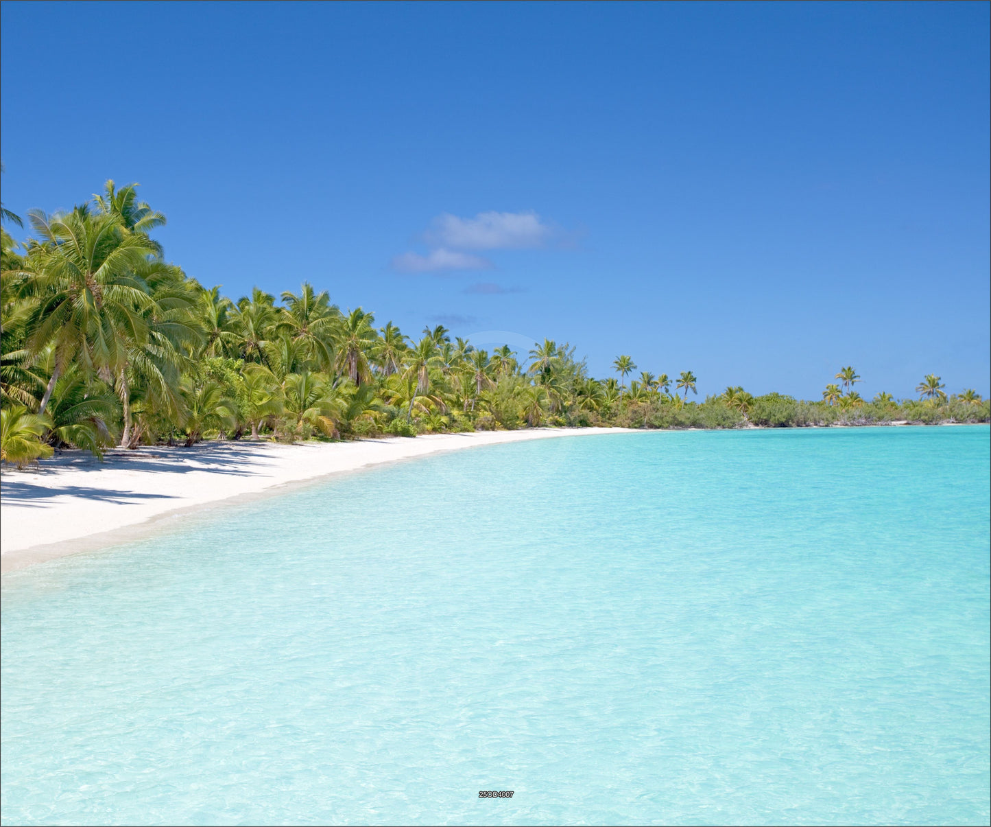 Outdoor Bild Banner Außen Gartenposter wetterfest XXL 300x250 Meer Palmen Strand