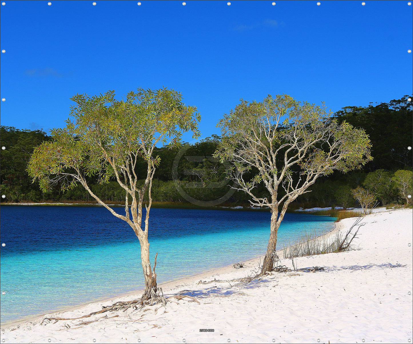 Outdoor Bild Banner Außen Gartenposter wetterfest XXL 300x250 Natur Landschaft Strand