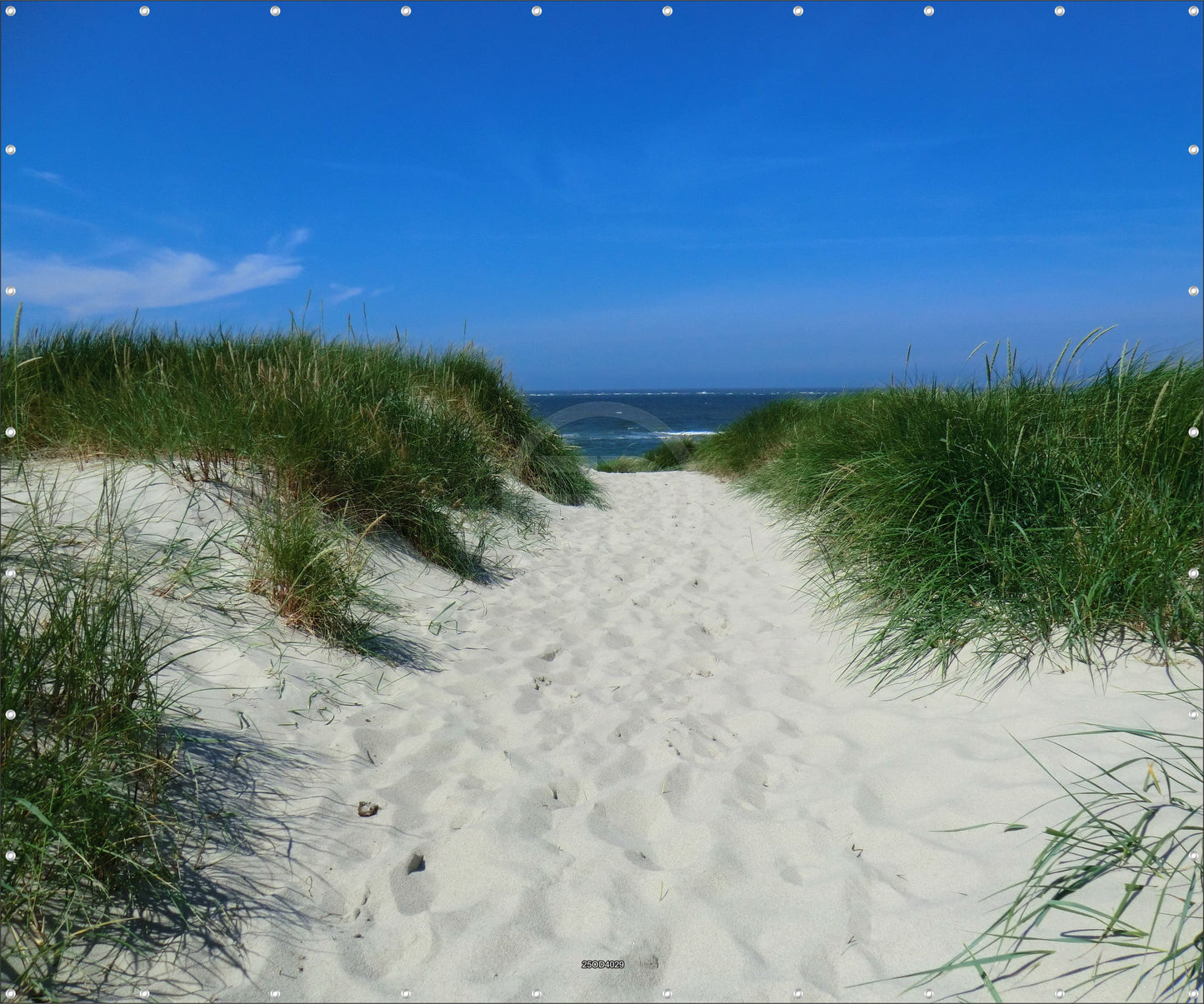 Outdoor Bild Banner Außen Gartenposter wetterfest XXL 300x250 Sand Dünen Meer
