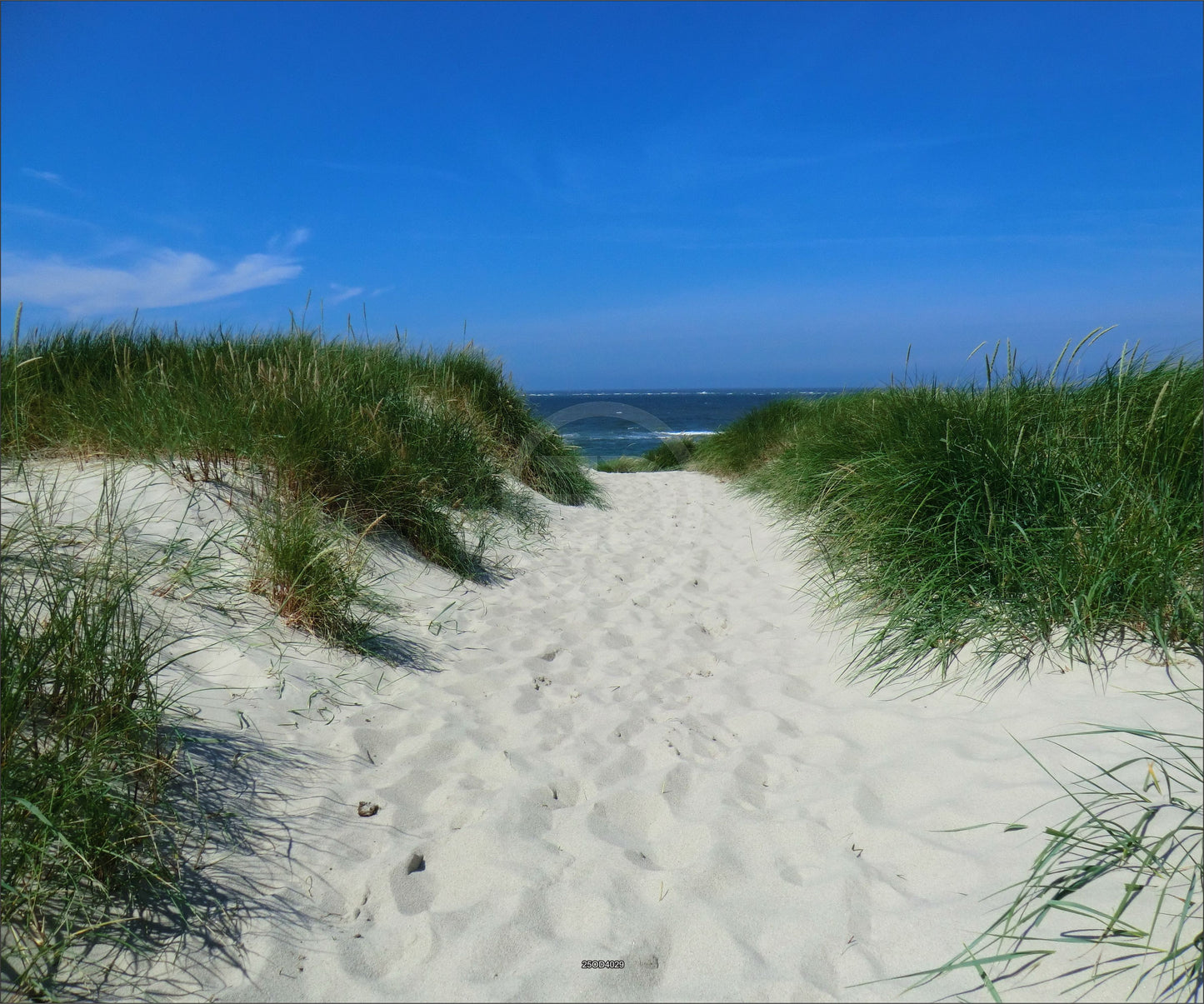 Outdoor Bild Banner Außen Gartenposter wetterfest XXL 300x250 Sand Dünen Meer