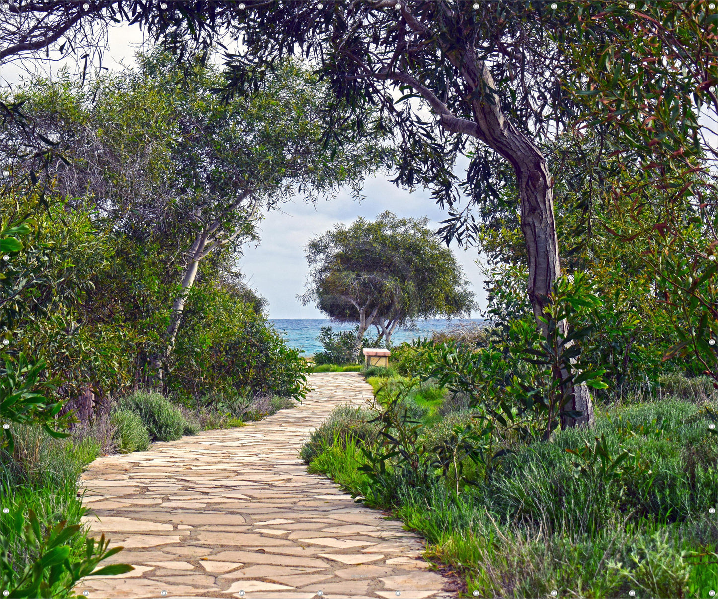 Outdoor Bild Banner Gartenposter Außen wetterfest XXL 300x250 Natur Weg Meer