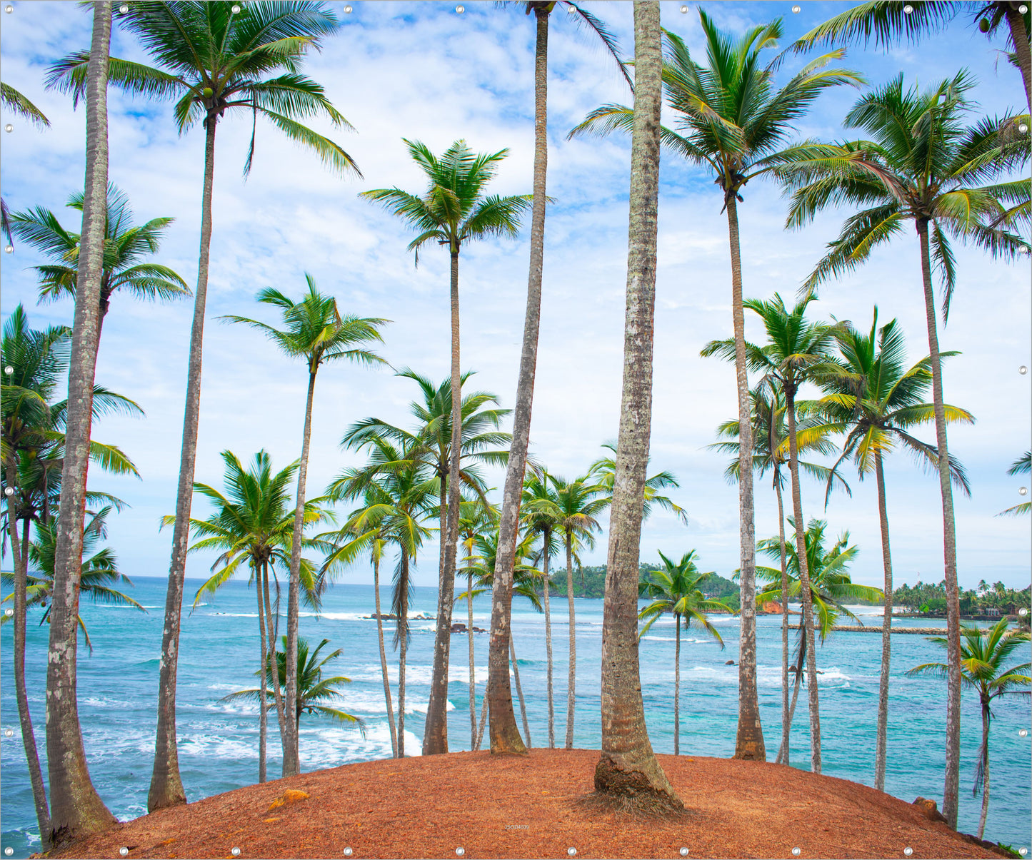 Outdoor Bild Banner Gartenposter Außen wetterfest XXL 300x250 Insel Palmen Meer
