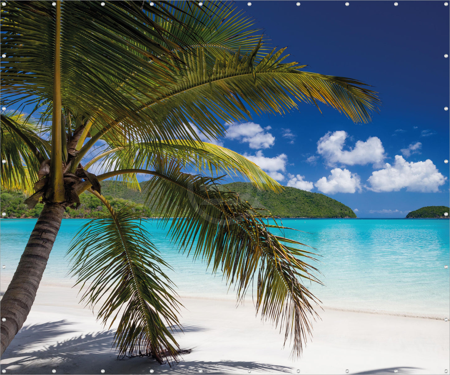 Outdoor Bild Banner Gartenposter Außen wetterfest XXL 300x250 Karibik Palme Meer