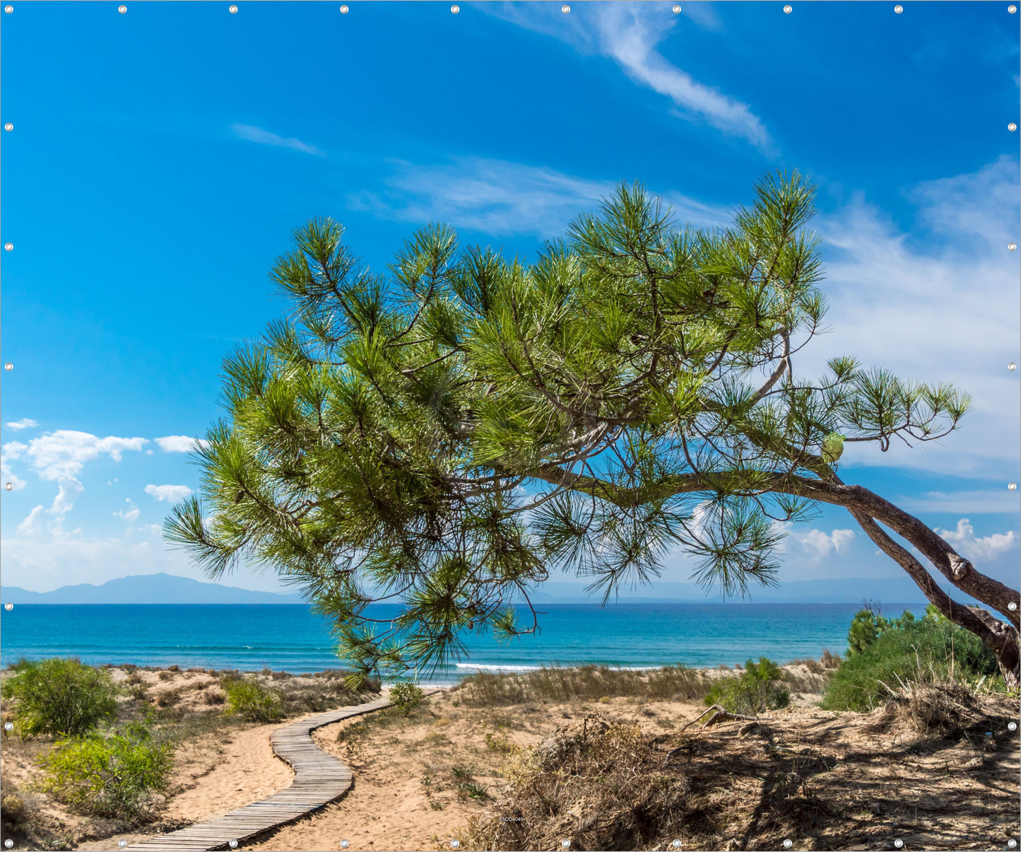 Outdoor Bild Banner Gartenposter Außen wetterfest XXL 300x250 Holzweg Natur Meer