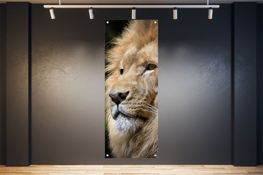 TIER WANDBILDER POSTER DEKO BILDER XXL 60x160 LÖWE WILDNIS NATUR RAUBKATZE