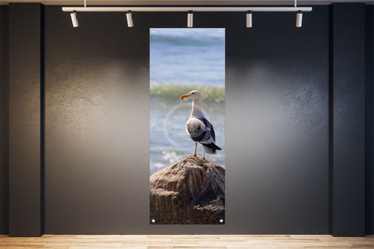 TIER WANDBILD POSTER DEKO BILDER XXL 60x160 MÖWE MEER NATUR FELSEN