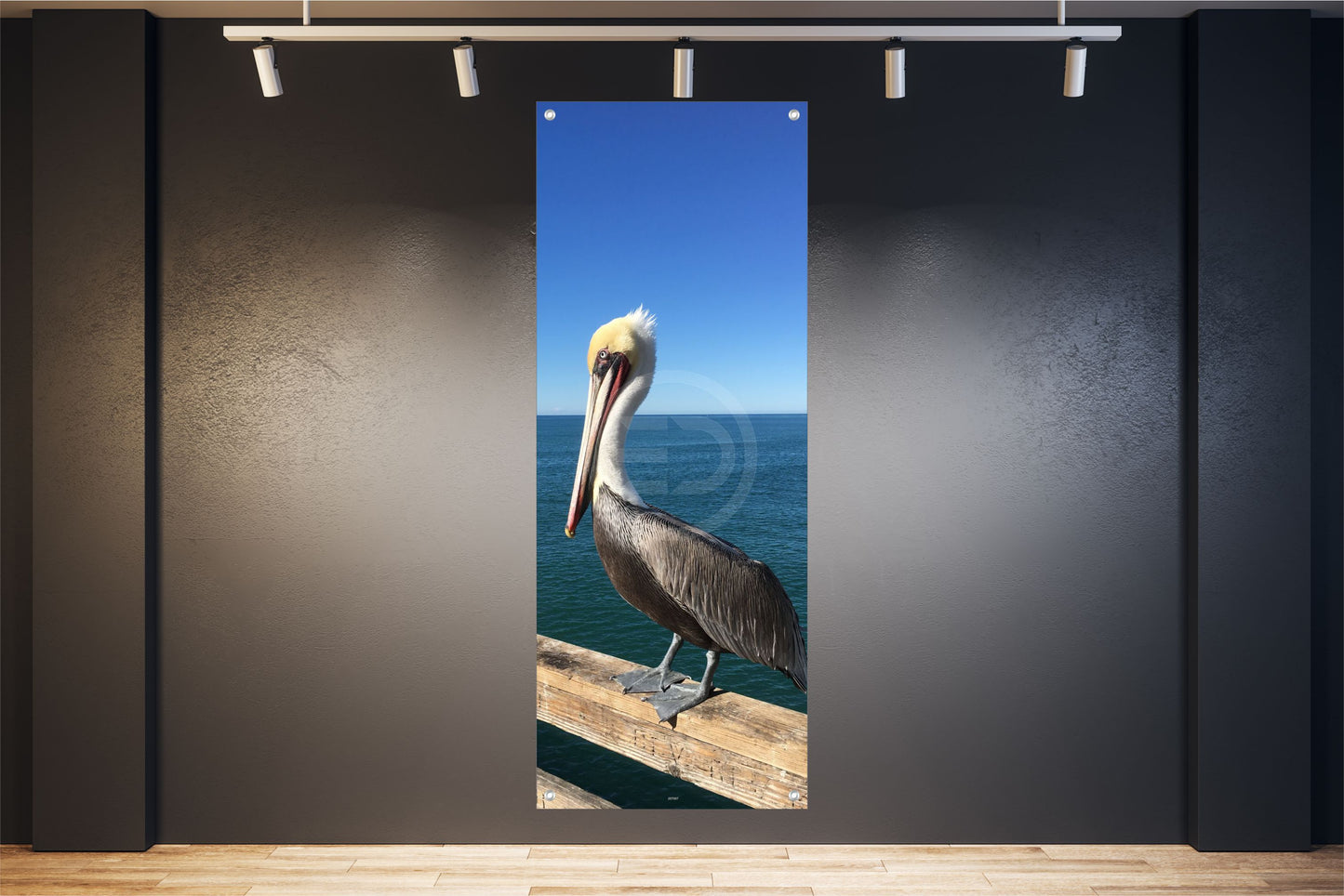 TIER WANDBILD POSTER DEKO BILDER XXL 60x160 PELIKAN VOGEL MEER NATUR