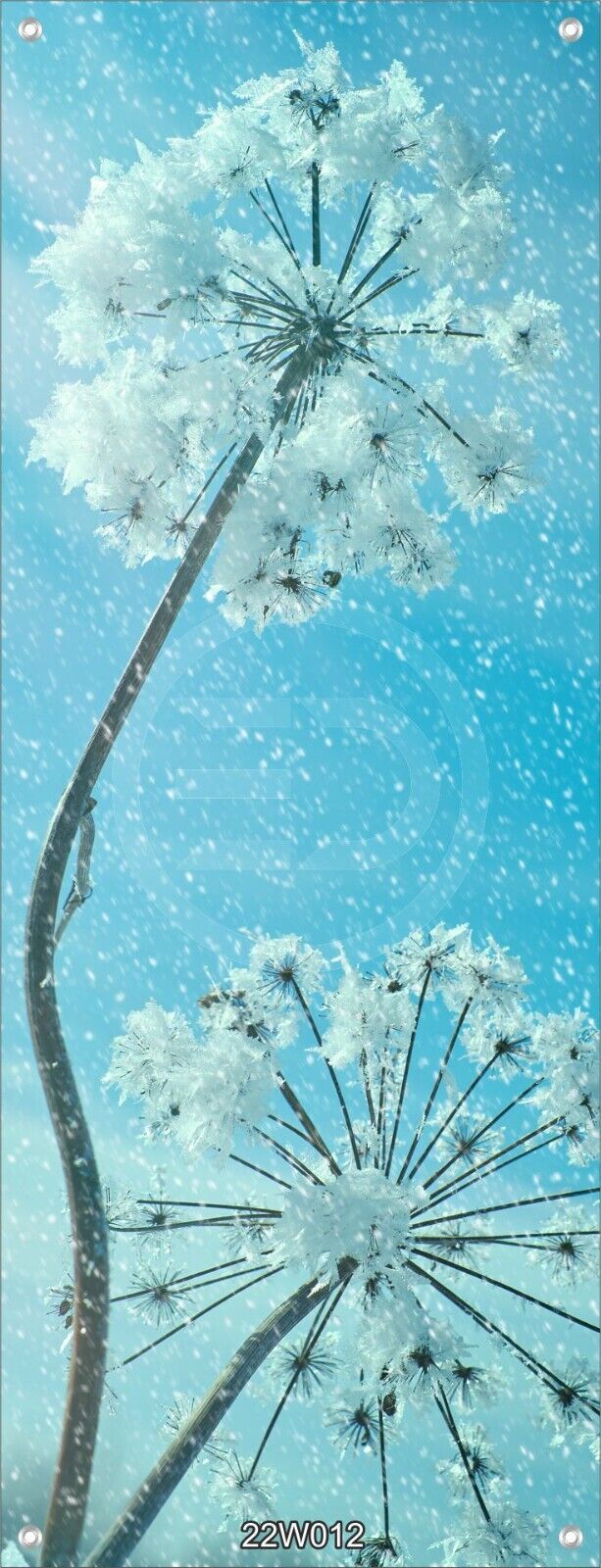 Winter Wandbild Banner Druck XXL 160x60cm Landschaft Schnee Auswahl 12 Motive