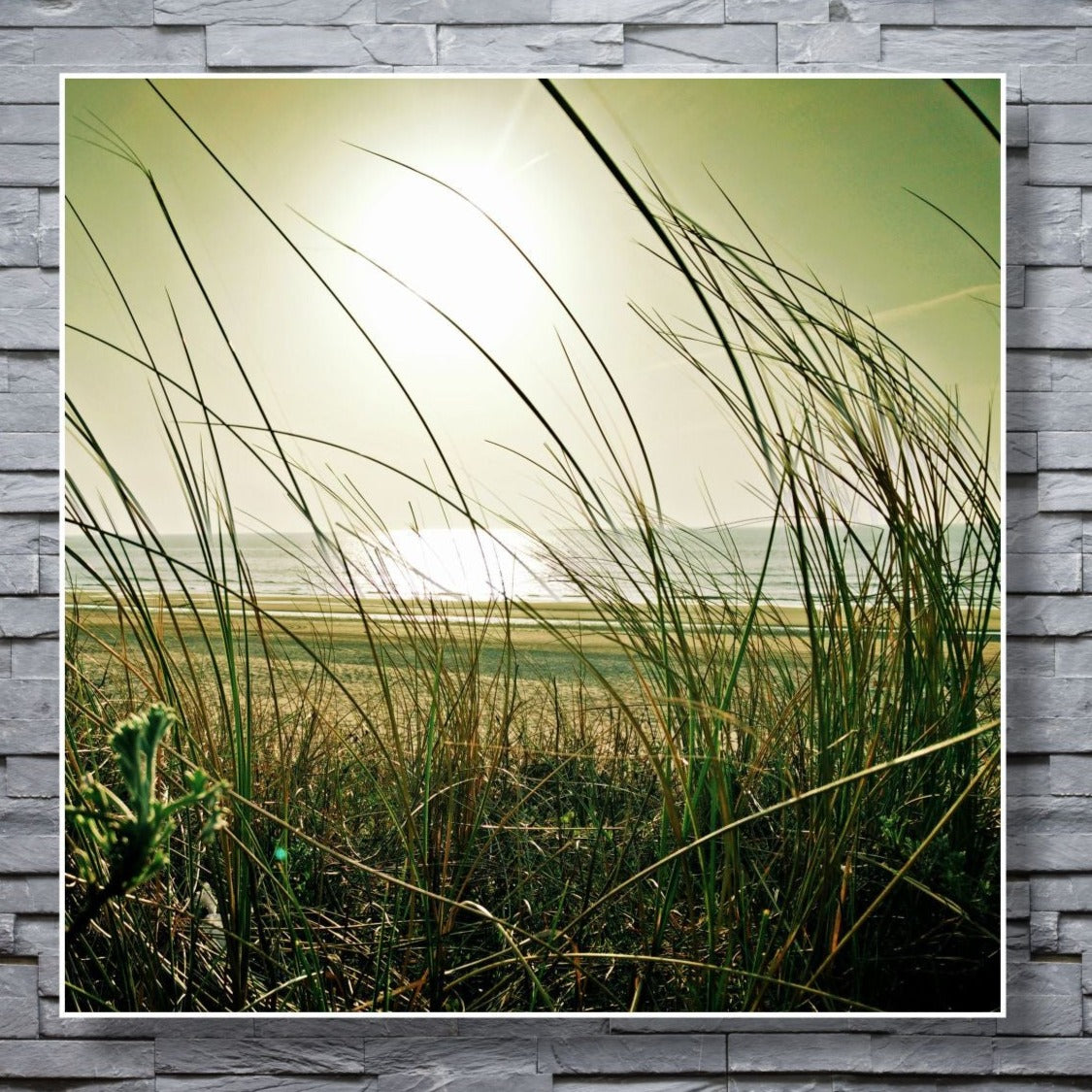 WANDBILDER ALURAHMEN NATUR BILDER WOHNZIMMER 120x120 MEER GRÄSER