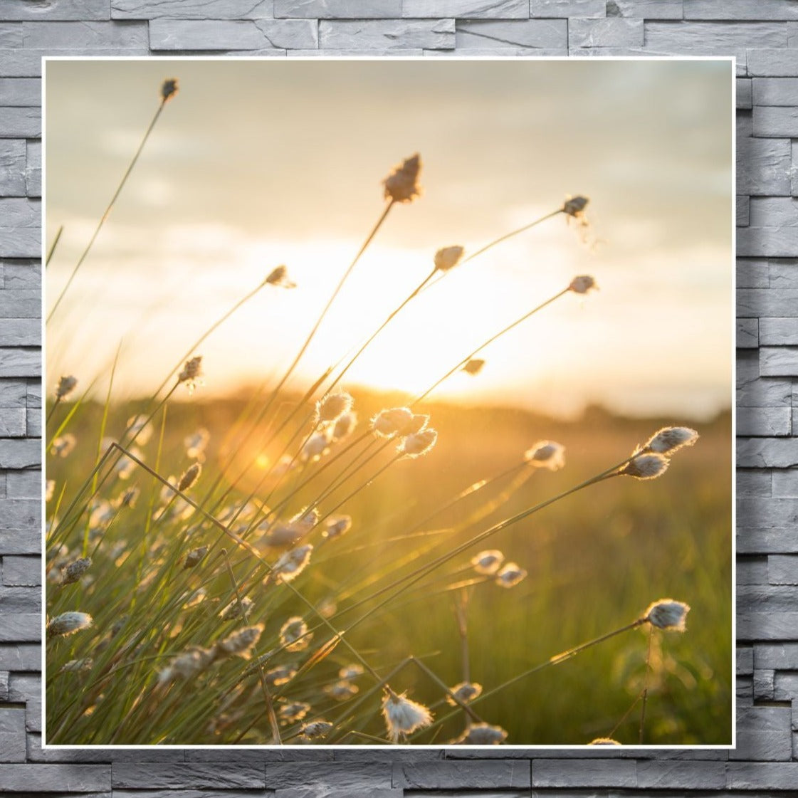 WANDBILDER ALURAHMEN NATUR BILDER WOHNZIMMER 120x120 WIESE SONNE