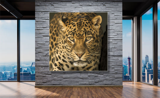 WANDBILDER ALURAHMEN LEOPARD BILDER WOHNZIMMER 150x150 RAUBKATZE TIER