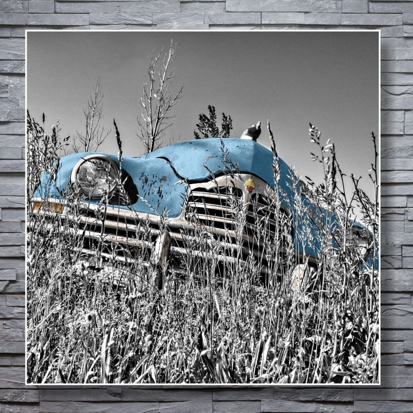 WANDBILDER ALURAHMEN AUTO BILDER WOHNZIMMER 150x150 OLDTIMER NATUR