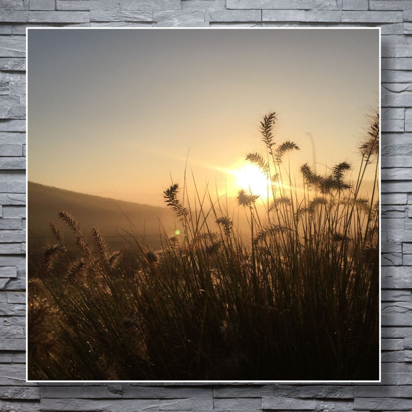 WANDBILDER ALURAHMEN NATUR BILDER WOHNZIMMER 150x150 PFLANZEN SONNE