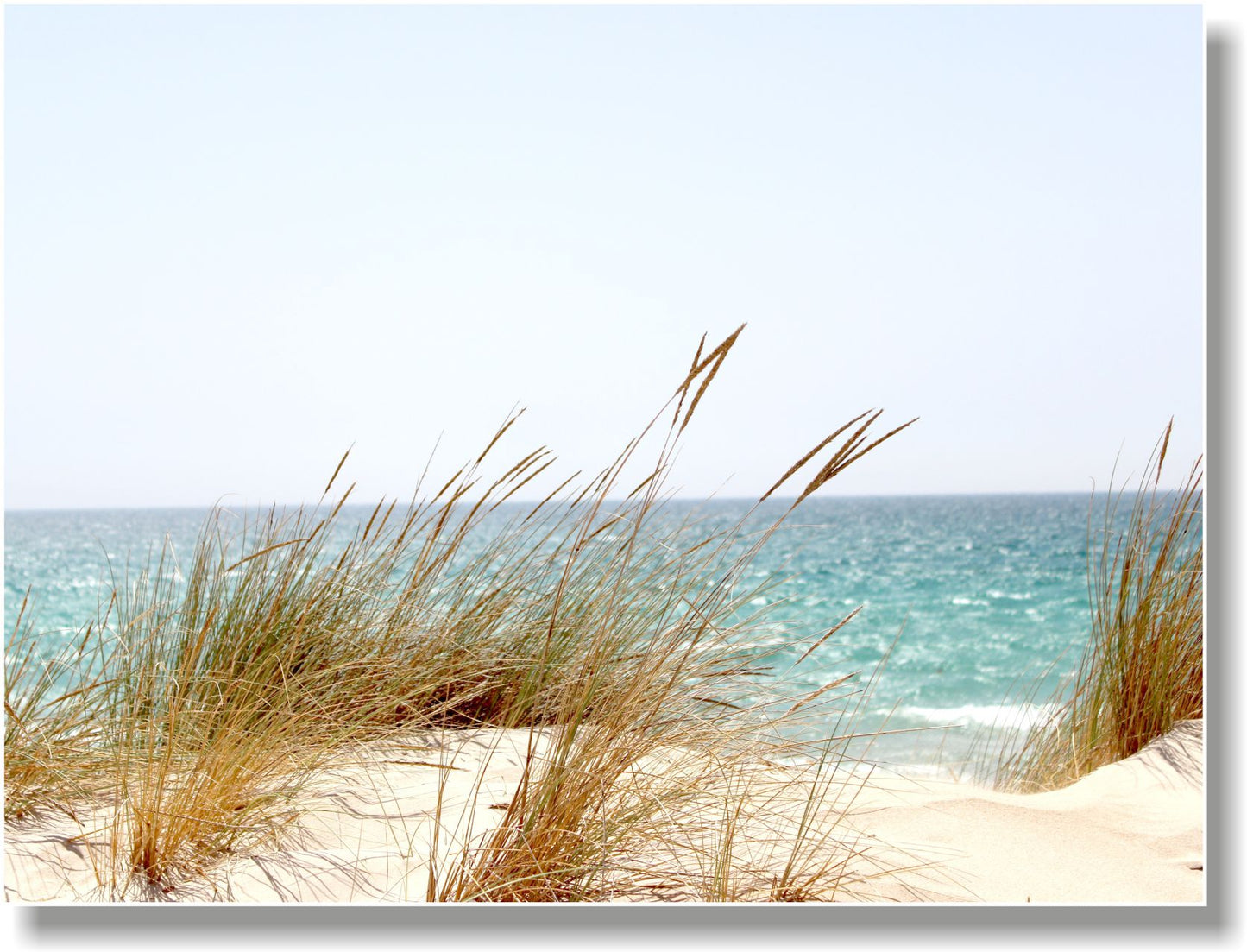 WANDBILDER MIT RAHMEN BILDER XXL MODERN WOHNZIMMER NATUR STRAND GRÄSER