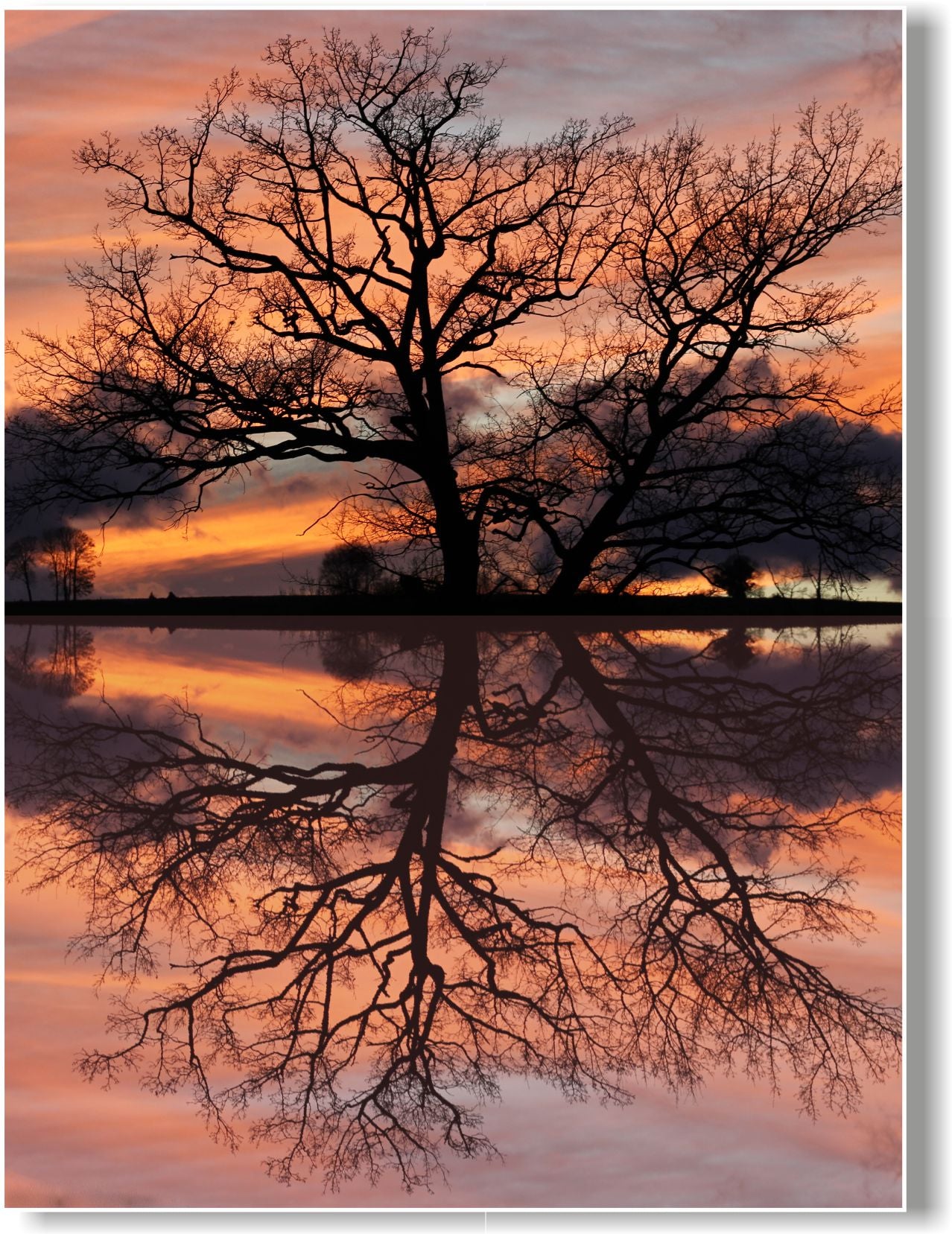 WANDBILDER MIT RAHMEN BILDER XXL MODERN WOHNZIMMER NATUR BAUM SPIEGELUNG