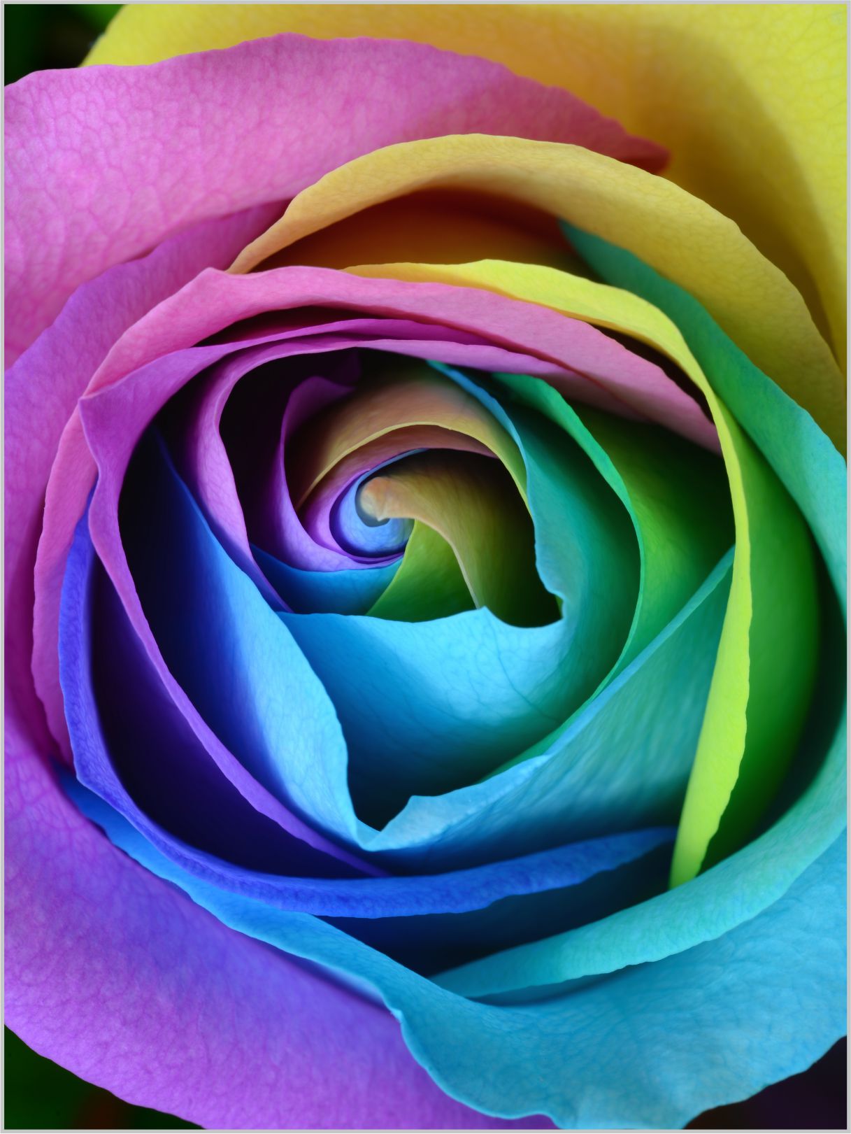 WANDBILD MIT RAHMEN 150x200 ABSTRAKT BILDER XXL WOHNZIMMER ROSE BUNT MODERN