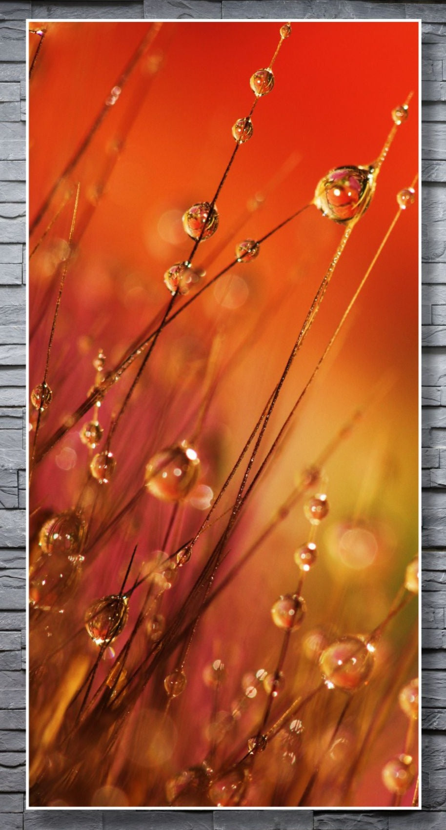 WANDBILDER ALURAHMEN XXL NATUR BILDER 100x200 WOHNZIMMER TAUTROPFEN