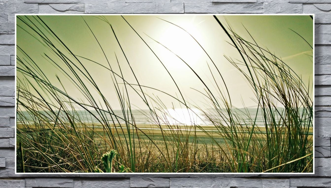 WANDBILDER XXL ALURAHMEN NATUR BILDER WOHNZIMMER 150x80 MEER GRÄSER