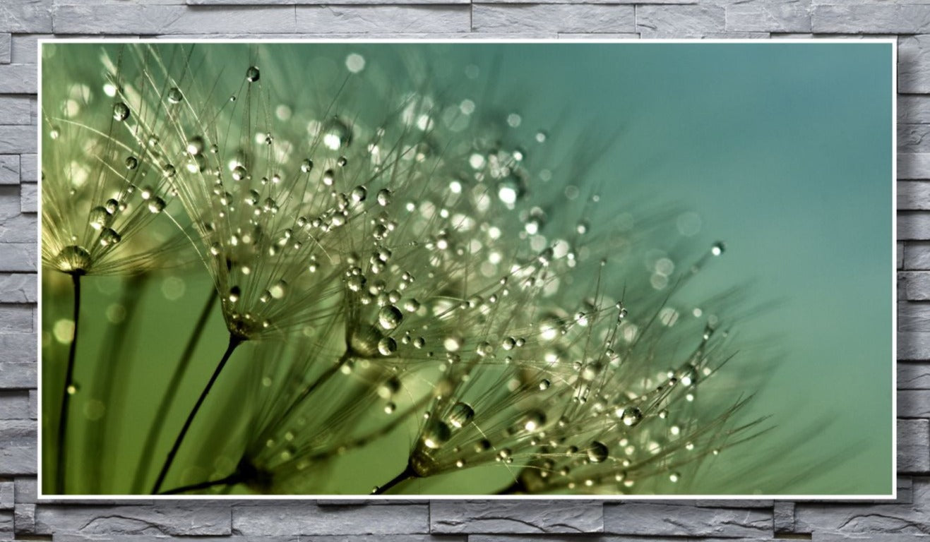 WANDBILDER ALURAHMEN NATUR BILDER WOHNZIMMER 150x80 PUSTEBLUME