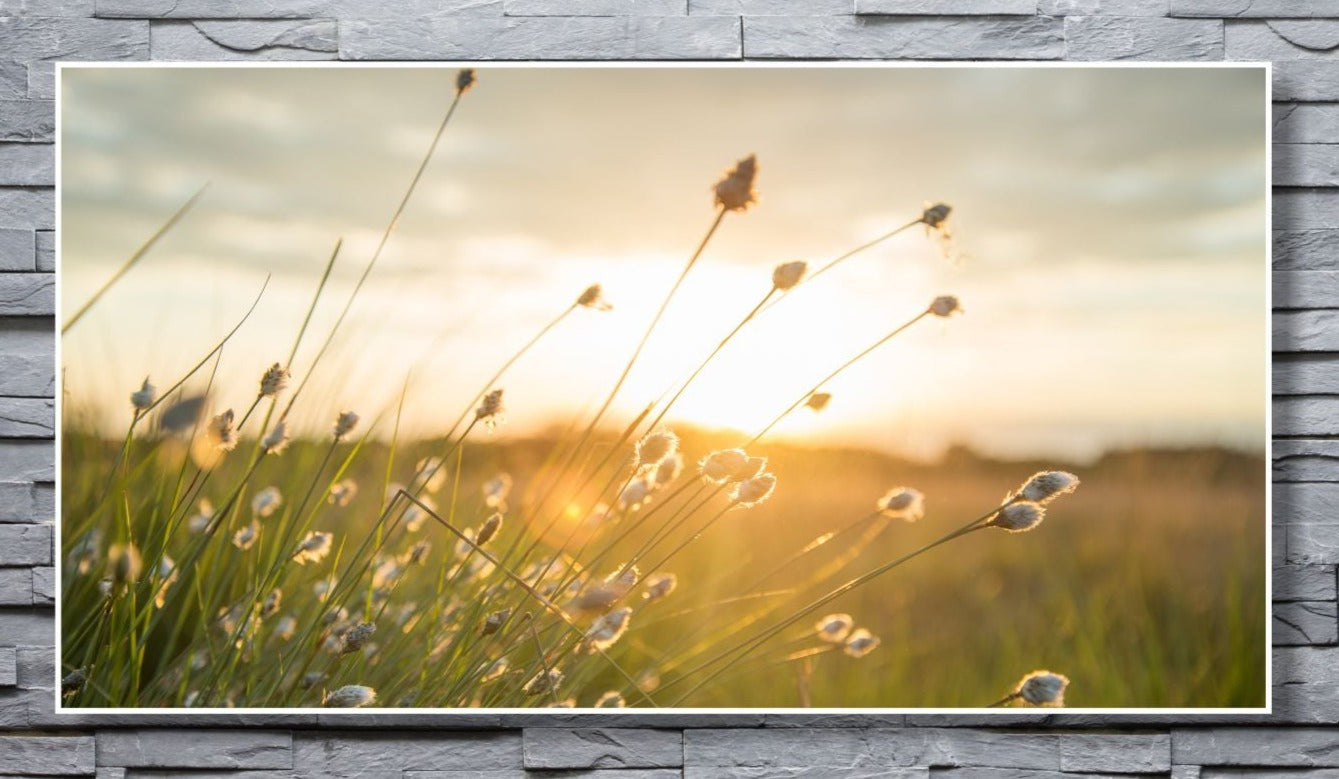 WANDBILDER ALURAHMEN XXL NATUR BILDER WOHNZIMMER 150x80 GRÄSER WIESE