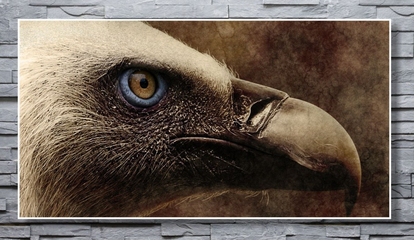 WANDBILDER ALURAHMEN ABSTRAKTE BILDER WOHNZIMMER 150x80 ADLERKOPF KUNST