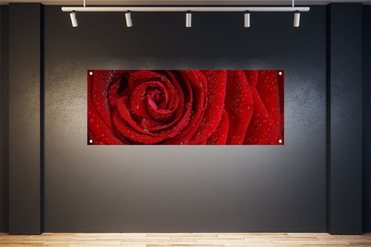 BLUMEN WANDBILDER POSTER DEKO BILDER XXL 160x60 ROSE WASSERPERLEN