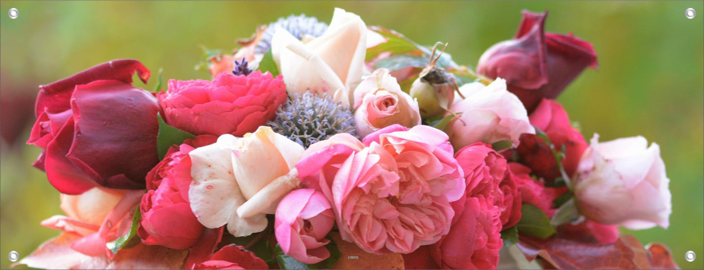 BLUMEN WANDBILDER POSTER DEKO BILDER XXL 160x60 BLÜTEN ROSEN BUNT
