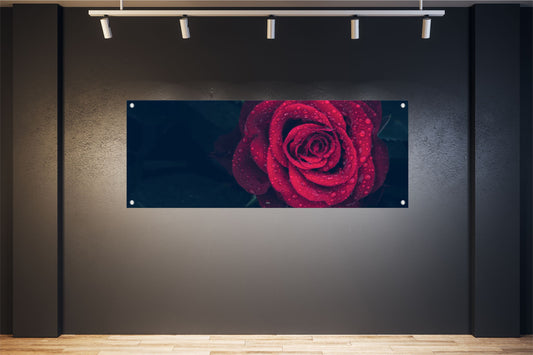 BLUMEN WANDBILDER POSTER DEKO BILDER XXL 160x60  ROSE ROT EDEL