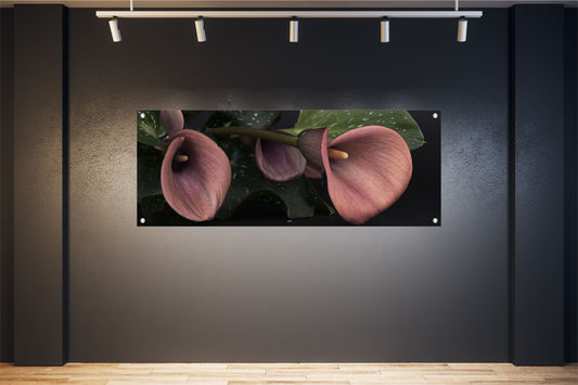 BLUMEN WANDBILDER POSTER DEKO BILDER XXL 160x60 CALLA BLÜTEN EDEL