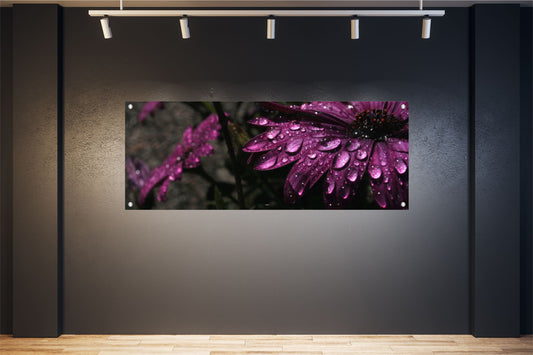 BLUMEN WANDBILDER POSTER DEKO BILDER XXL 160x60 GERBERA BLÜTEN LILA