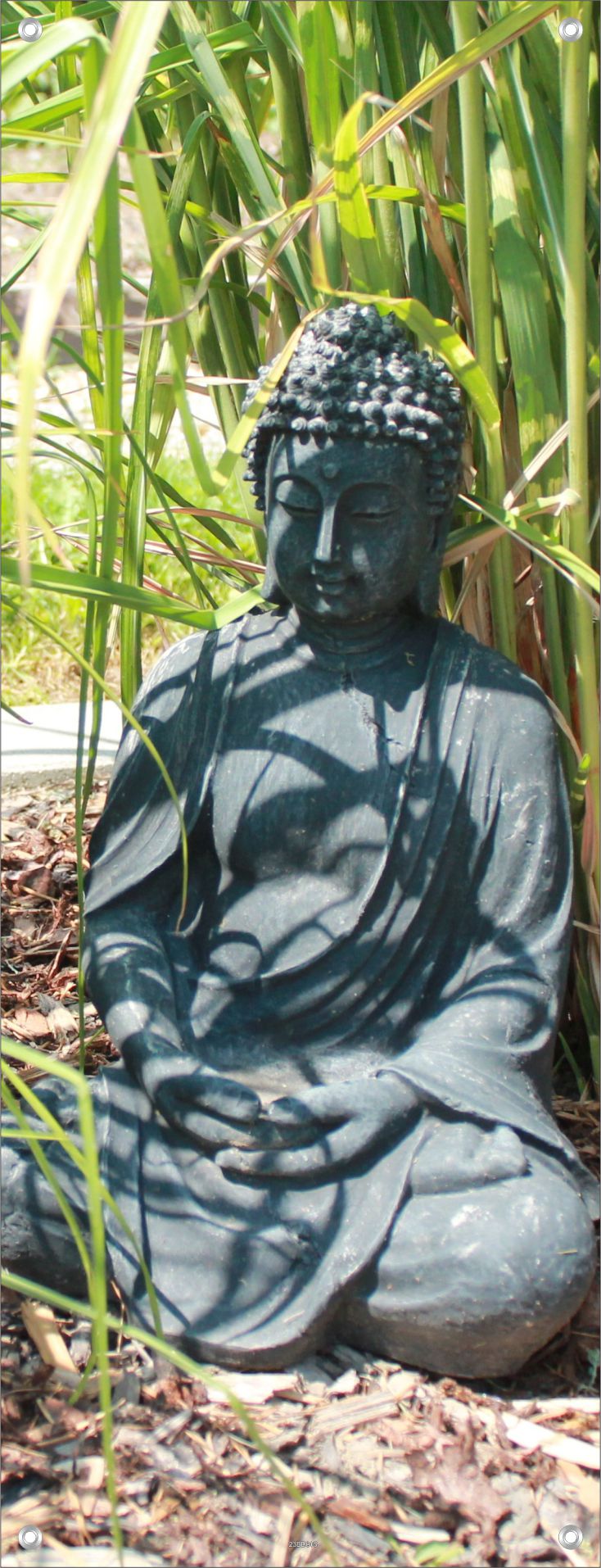 BUDDHA WANDBILDER POSTER DEKO BILDER XXL 60x160 BAMBUS GARTEN SKULPTUR ZEN