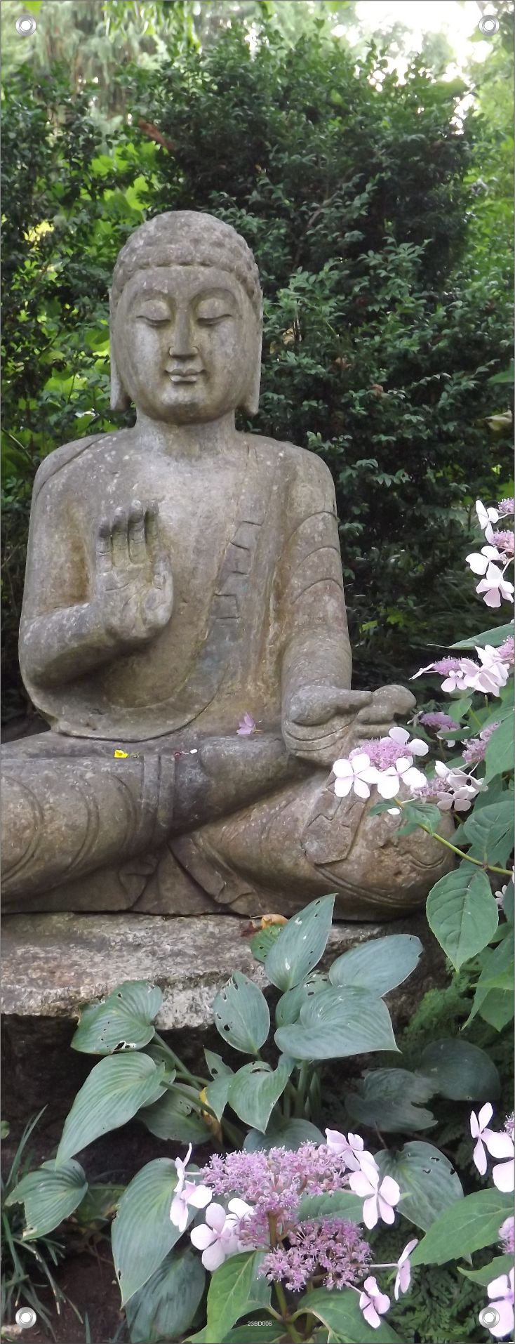 BUDDHA WANDBILDER POSTER DEKO BILDER XXL 60x160 GARTEN BLUMEN BUDDHISMUS