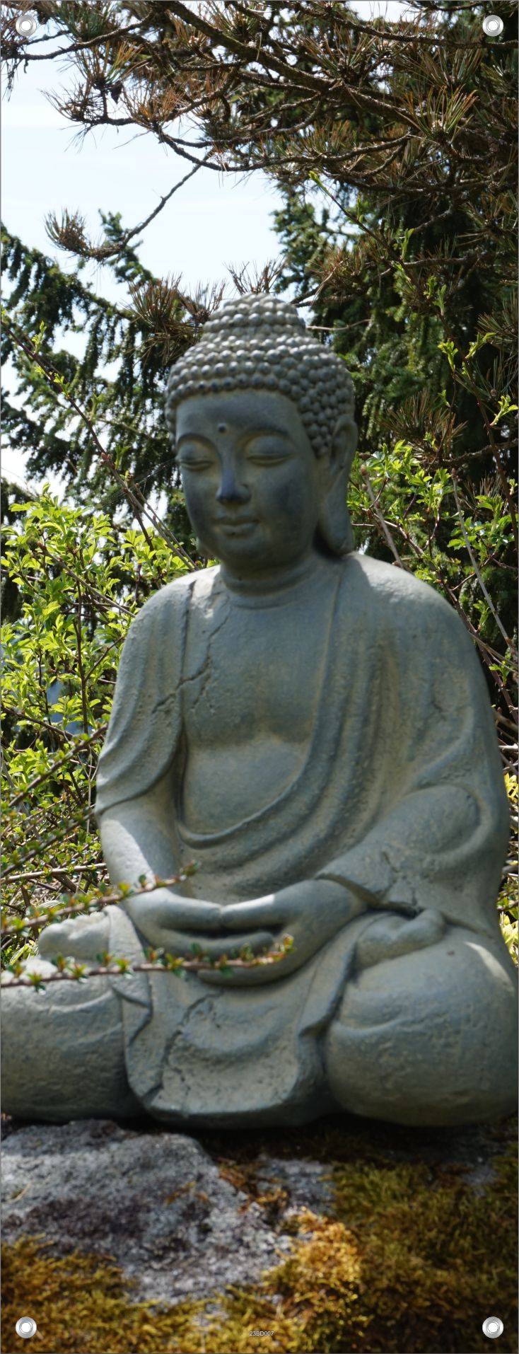 BUDDHA WANDBILDER POSTER DEKO BILDER XXL 60x160 BUDDHISMUS STATUE STEIN NATUR