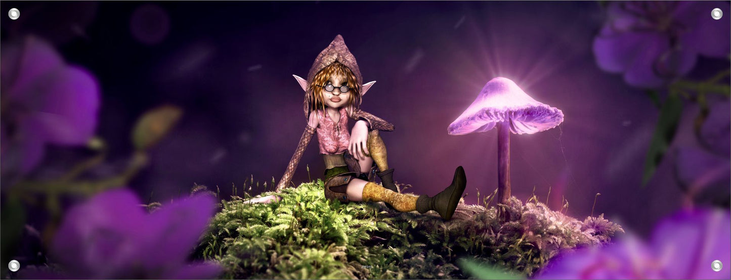 FANTASIE WANDBILDER POSTER DEKO BILDER 160x60 ELFE PILZ ZAUBERLAND