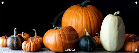 Wandbild Poster Banner Indoor/Outdoor 60x160 cm Kürbis Kürbisse Herbst