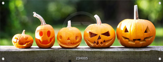 Wandbild Poster Banner Indoor/Outdoor 60x160 cm Kürbisse Gesichter Herbst Deko